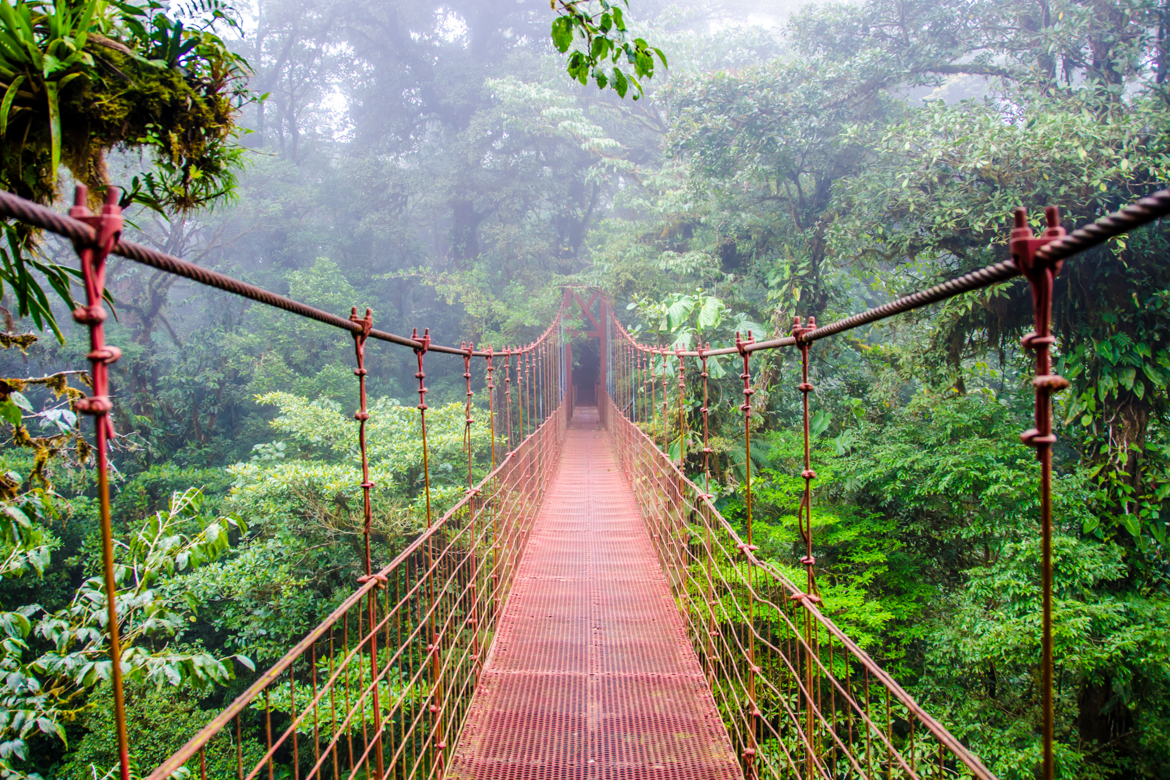 monteverde (3).webp